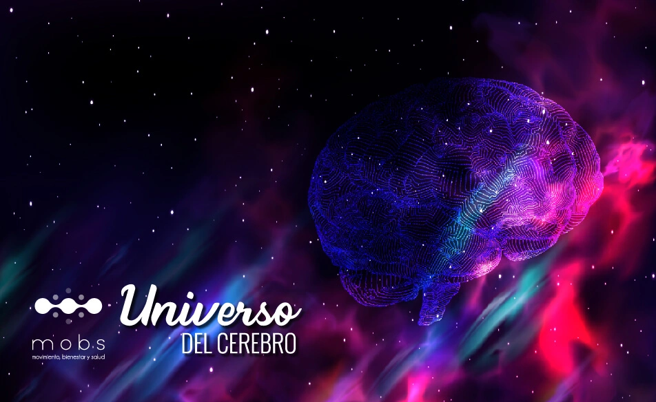 E-book Universo del Cerebro